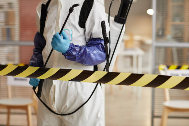 Professional Hoarding Cleanup technician working in Port Washington, NY